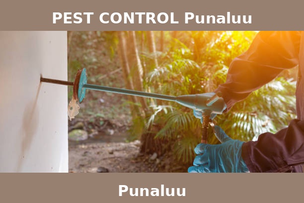 PEST CONTROL Punaluu